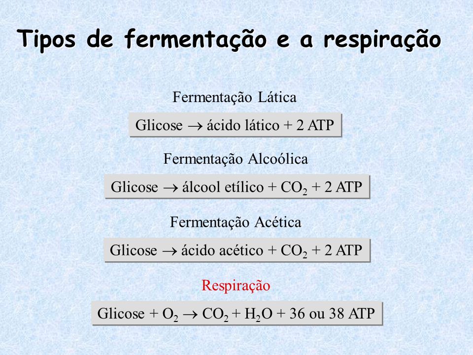 Tipos de fermentação e a respiração