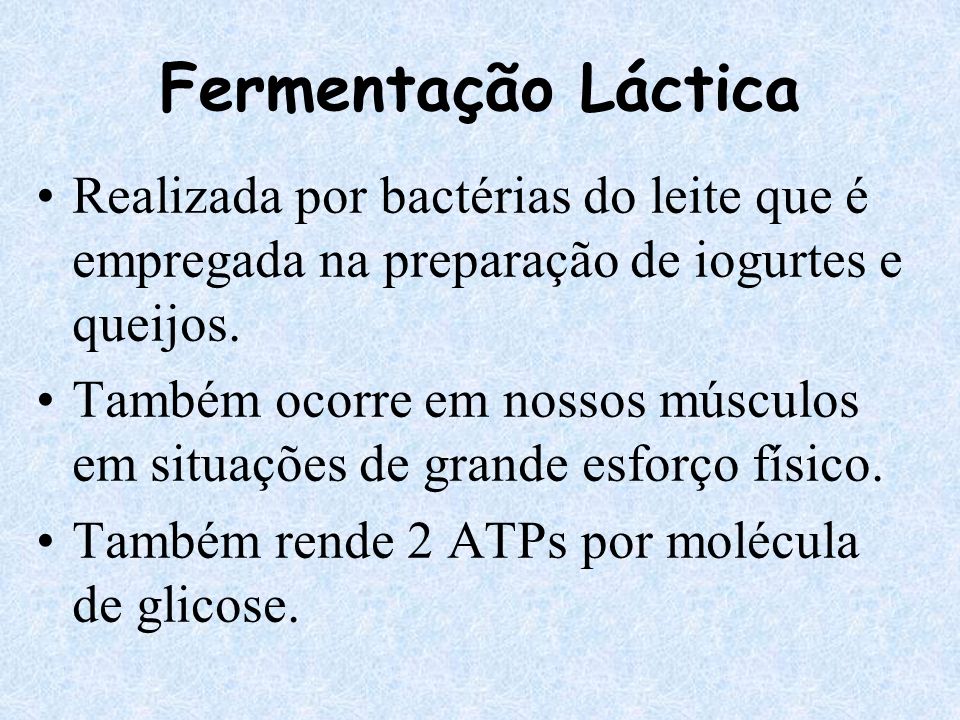 Fermentação Láctica Realizada por bactérias do leite que é empregada na preparação de iogurtes e queijos.
