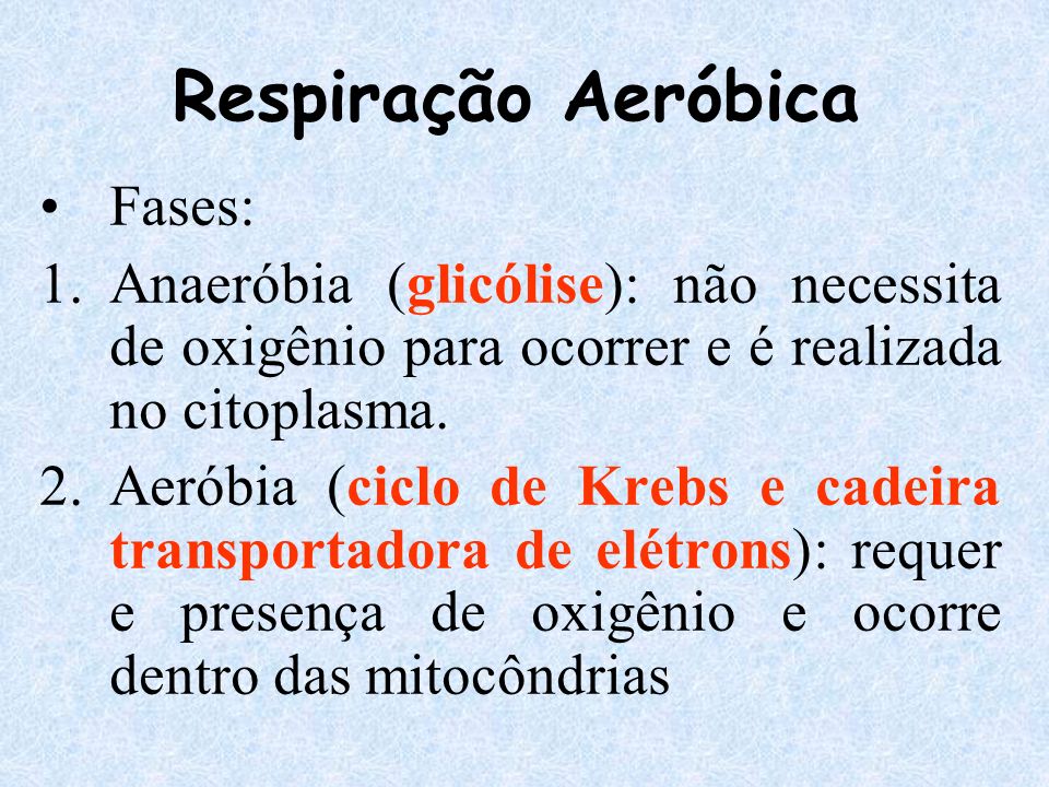 Respiração Aeróbica Fases: