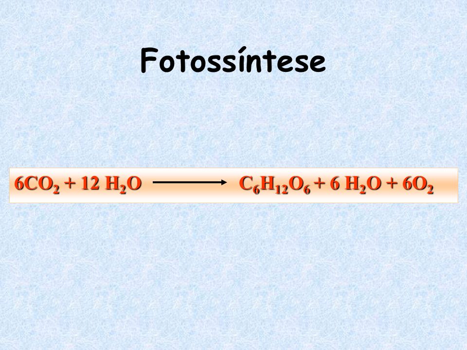 Fotossíntese 6CO H2O C6H12O6 + 6 H2O + 6O2