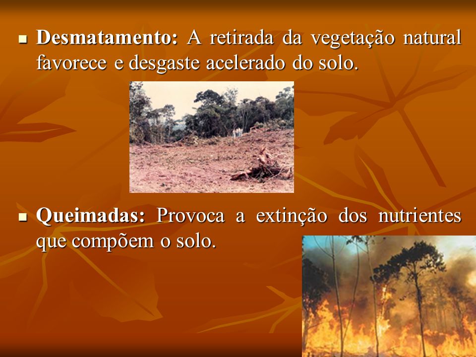 Desmatamento: A retirada da vegetação natural favorece e desgaste acelerado do solo.