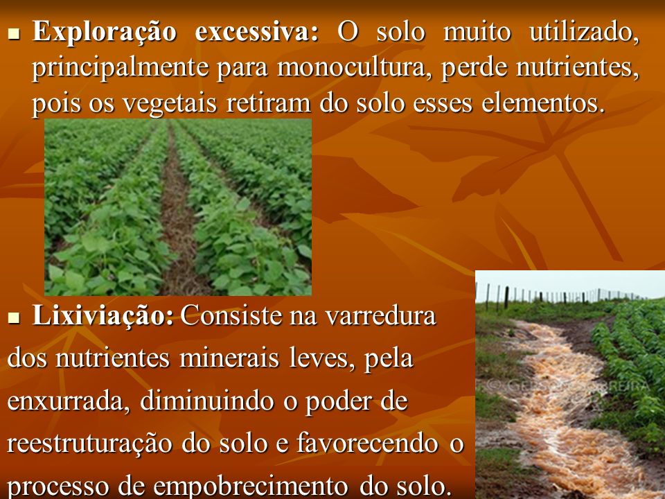 Exploração excessiva: O solo muito utilizado, principalmente para monocultura, perde nutrientes, pois os vegetais retiram do solo esses elementos.