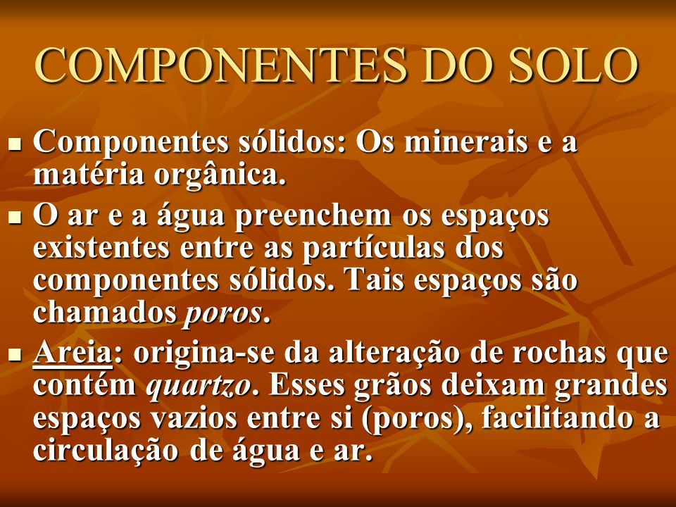 COMPONENTES DO SOLO Componentes sólidos: Os minerais e a matéria orgânica.