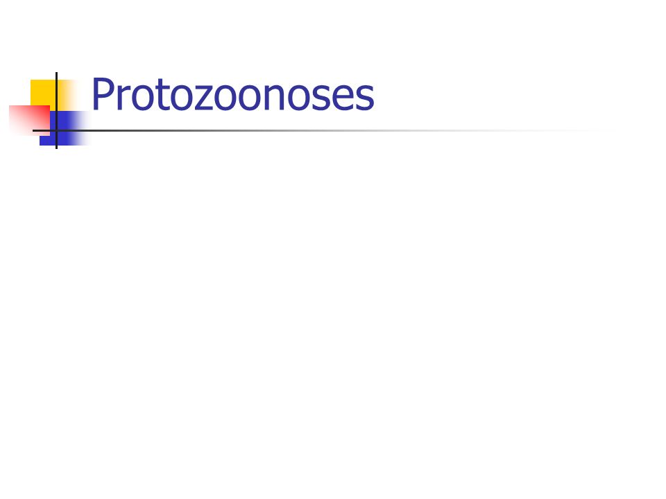Protozoonoses