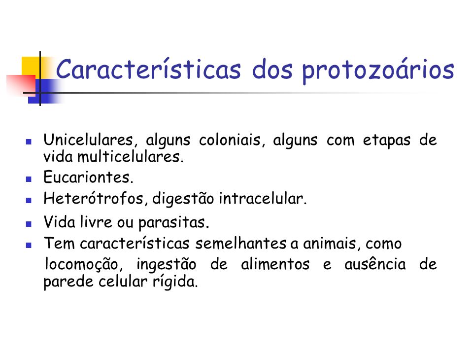 Características dos protozoários