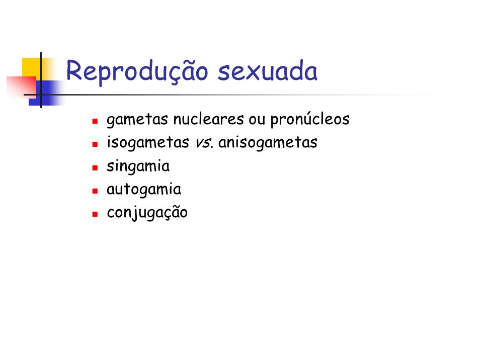 Reprodução sexuada gametas nucleares ou pronúcleos