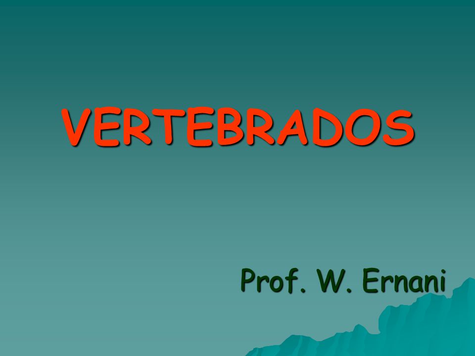 VERTEBRADOS Prof. W. Ernani