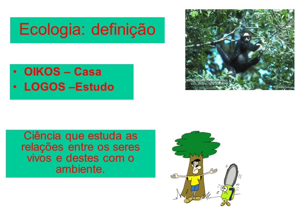 Ecologia: definição OIKOS – Casa LOGOS –Estudo
