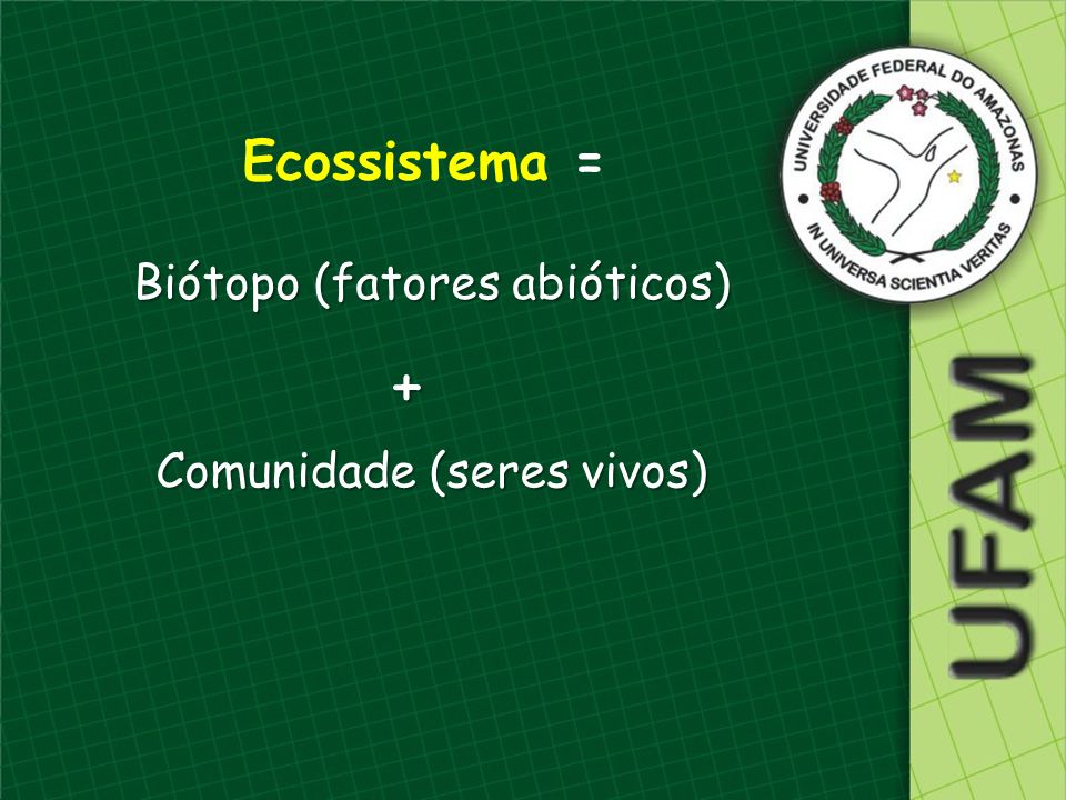 Ecossistema = Biótopo (fatores abióticos) + Comunidade (seres vivos)
