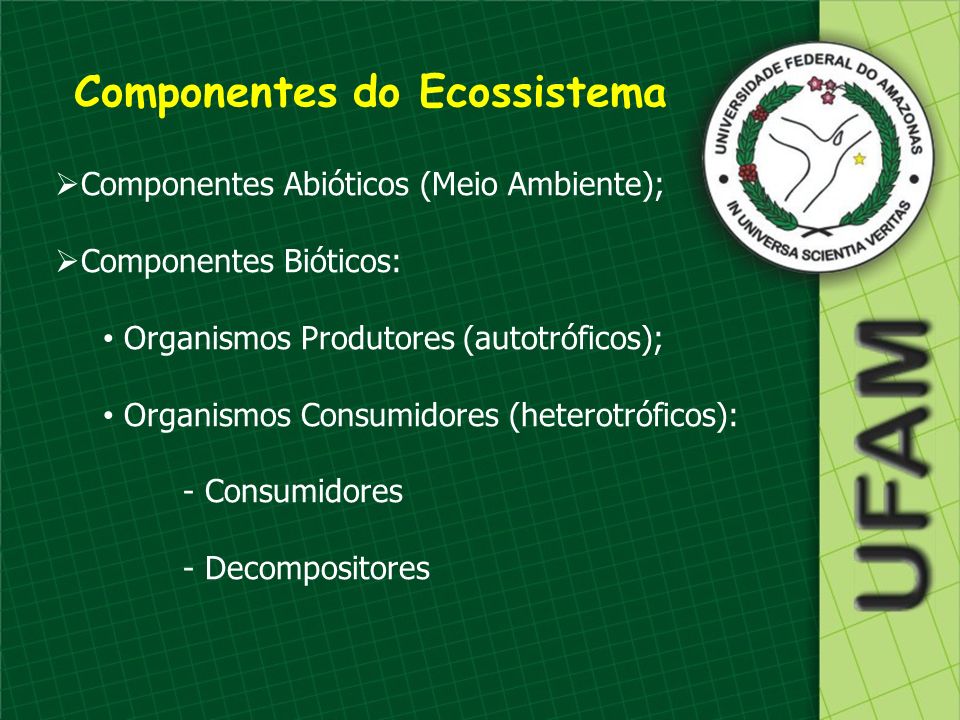Componentes do Ecossistema
