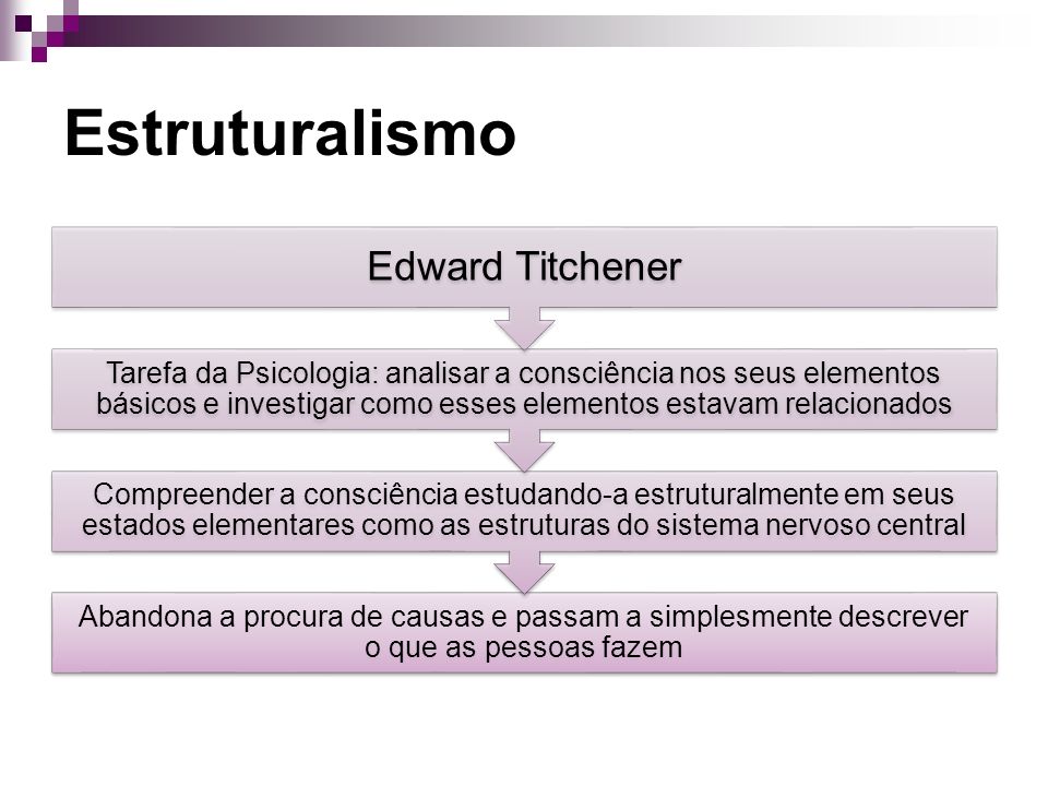 Estruturalismo Edward Titchener