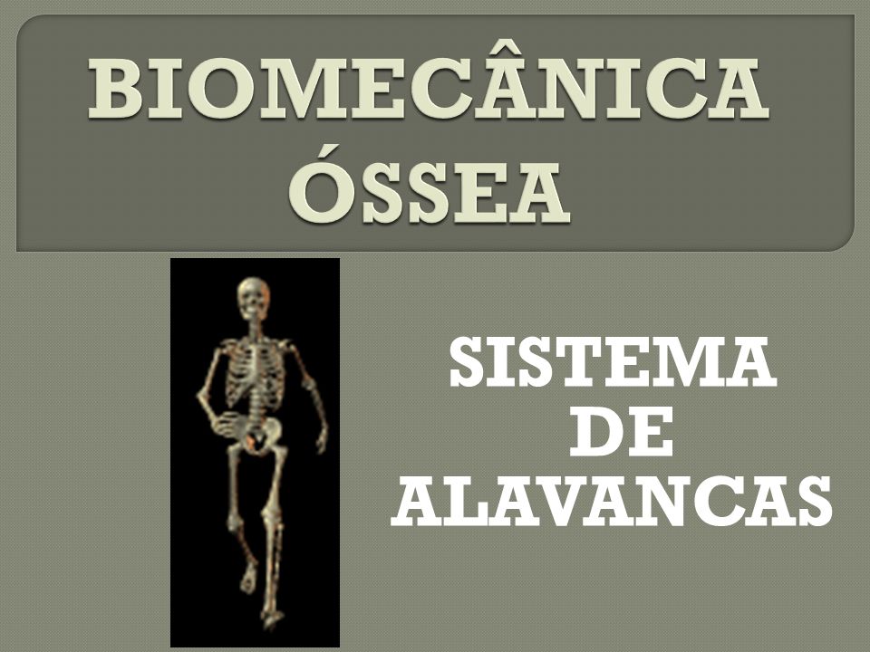 BIOMECÂNICA ÓSSEA SISTEMA DE ALAVANCAS