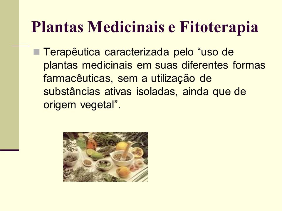 Plantas Medicinais e Fitoterapia: noções básicas - ppt video online carregar