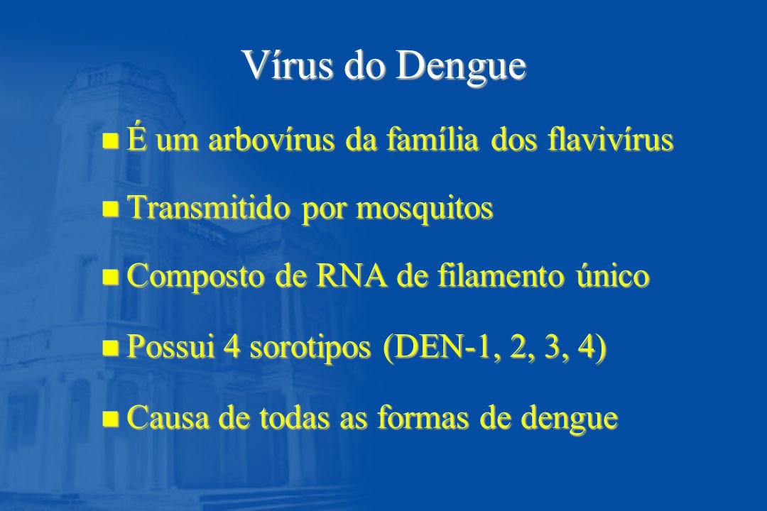 Vírus do Dengue É um arbovírus da família dos flavivírus
