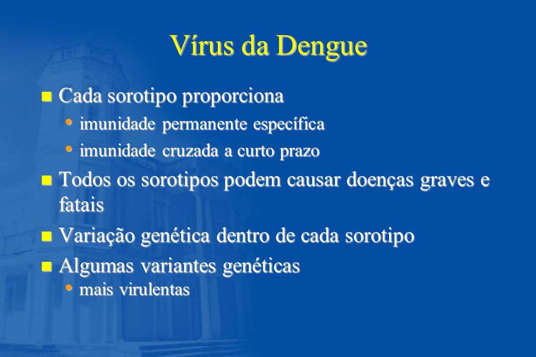 Vírus da Dengue Cada sorotipo proporciona