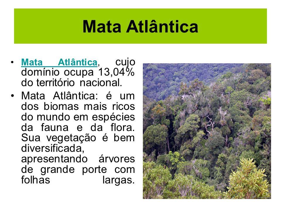 Mata Atlântica Mata Atlântica, cujo domínio ocupa 13,04% do território nacional.