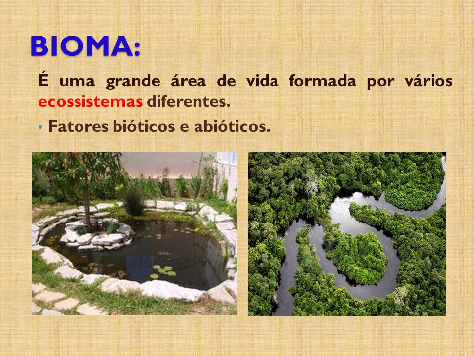 BIOMA: É uma grande área de vida formada por vários ecossistemas diferentes.