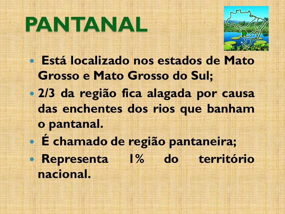 PANTANAL Está localizado nos estados de Mato Grosso e Mato Grosso do Sul;