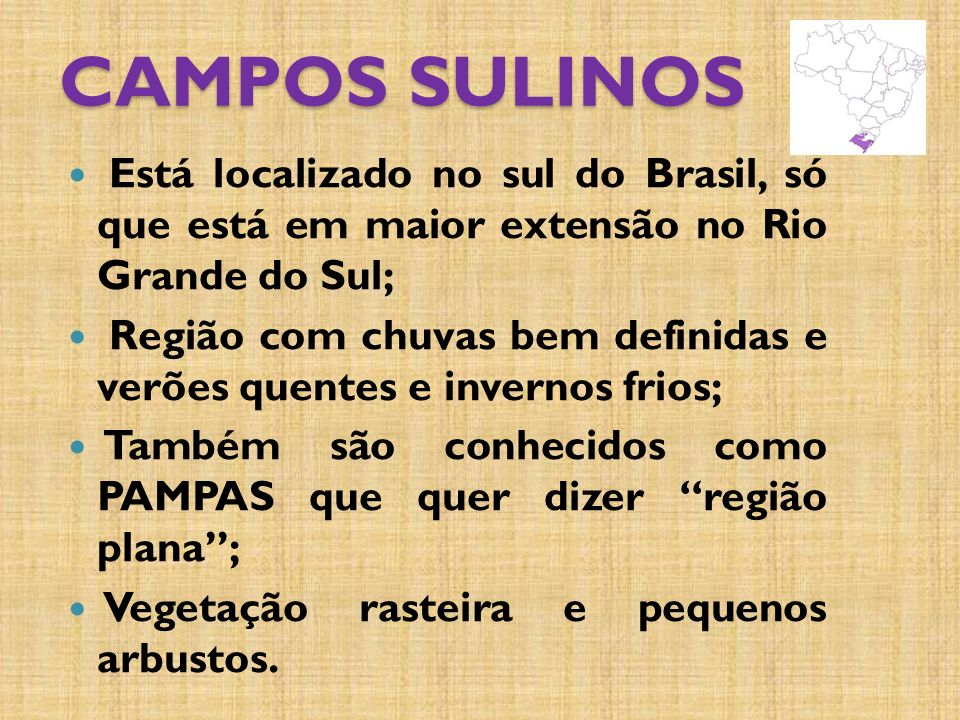 CAMPOS SULINOS Está localizado no sul do Brasil, só que está em maior extensão no Rio Grande do Sul;