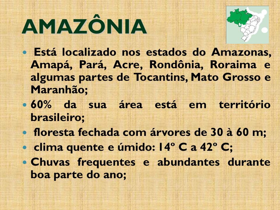 AMAZÔNIA Está localizado nos estados do Amazonas, Amapá, Pará, Acre, Rondônia, Roraima e algumas partes de Tocantins, Mato Grosso e Maranhão;