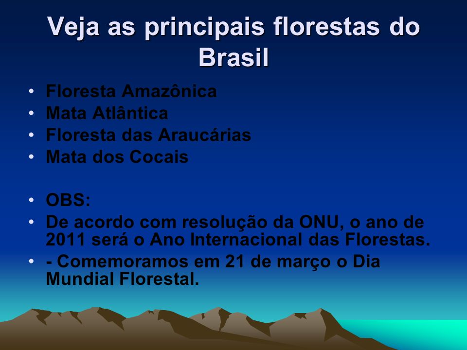 Veja as principais florestas do Brasil