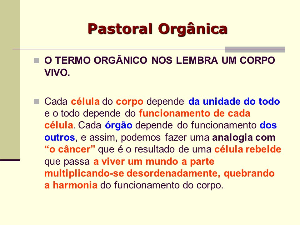 Pastoral Orgânica O TERMO ORGÂNICO NOS LEMBRA UM CORPO VIVO.