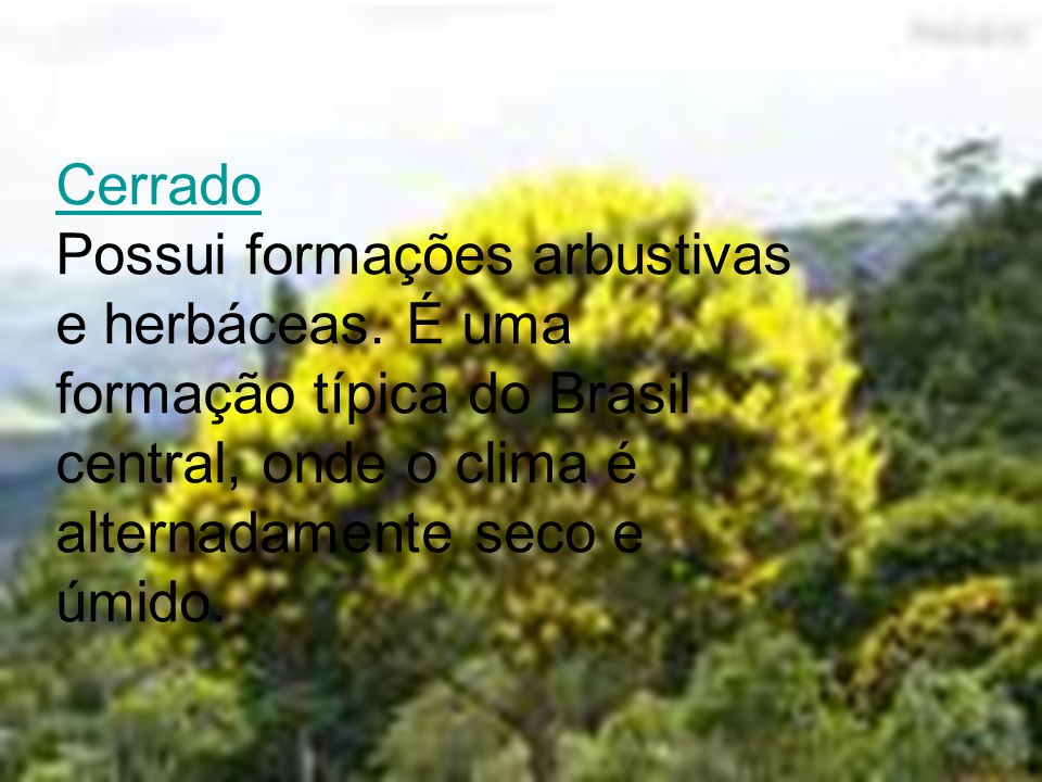 Cerrado Possui formações arbustivas e herbáceas