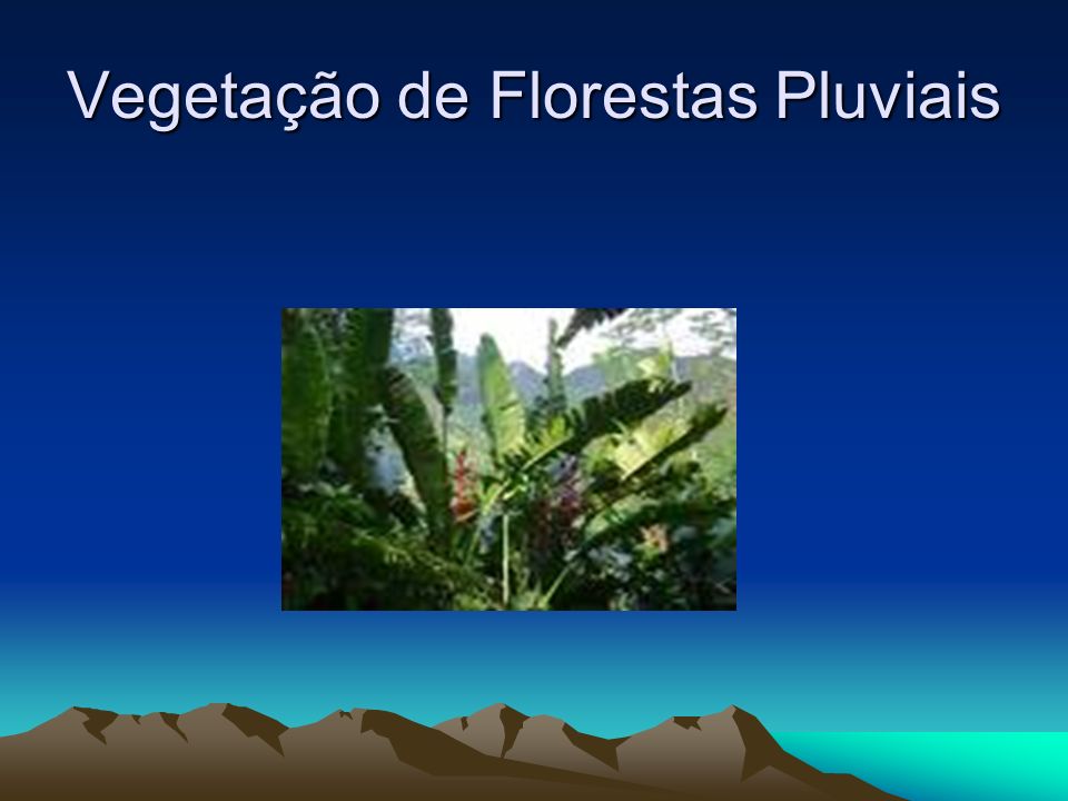 Vegetação de Florestas Pluviais