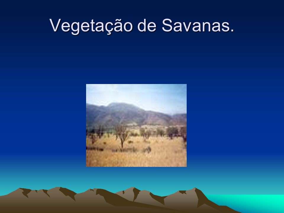 Vegetação de Savanas.