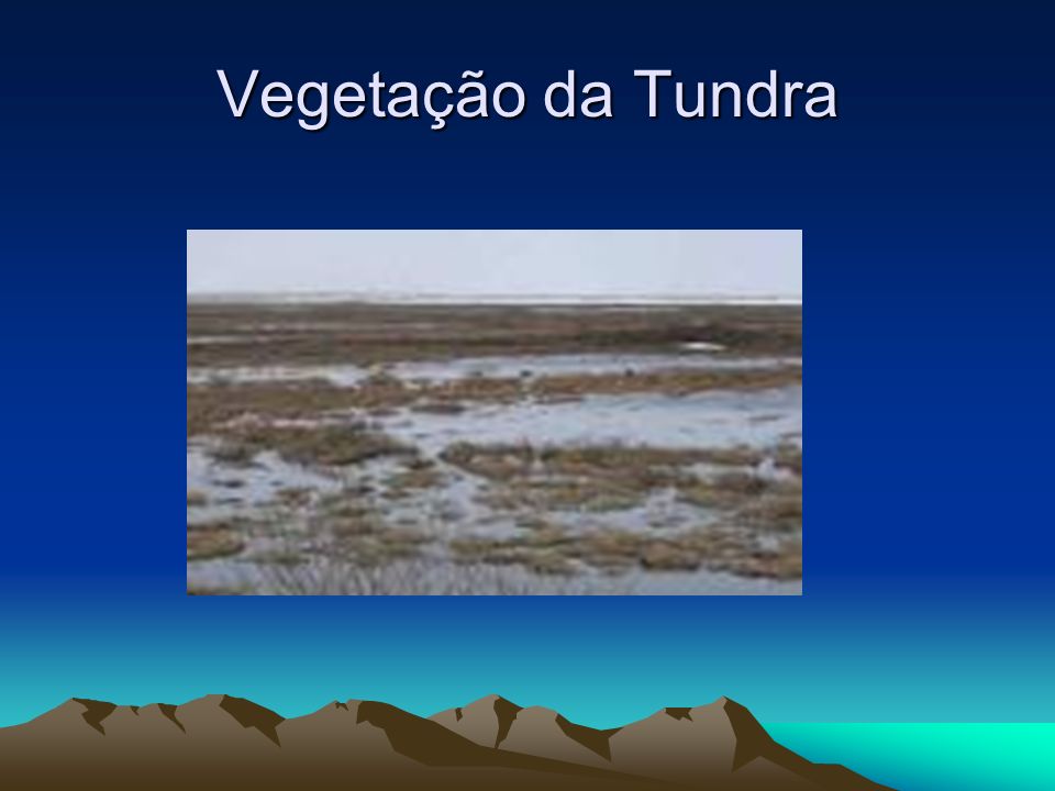 Vegetação da Tundra