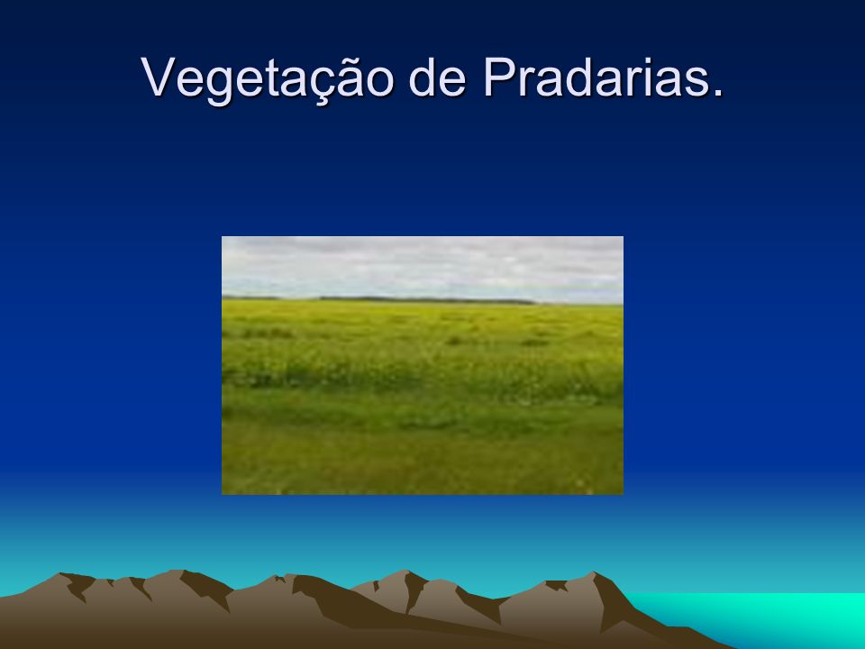 Vegetação de Pradarias.