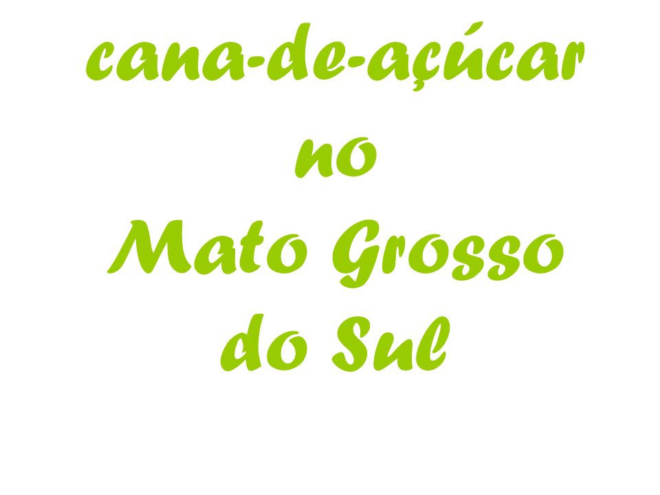 cana-de-açúcar no Mato Grosso do Sul
