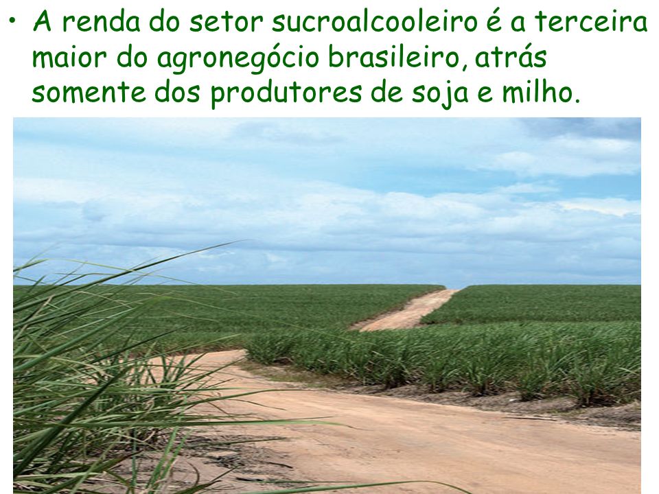 A renda do setor sucroalcooleiro é a terceira maior do agronegócio brasileiro, atrás somente dos produtores de soja e milho.