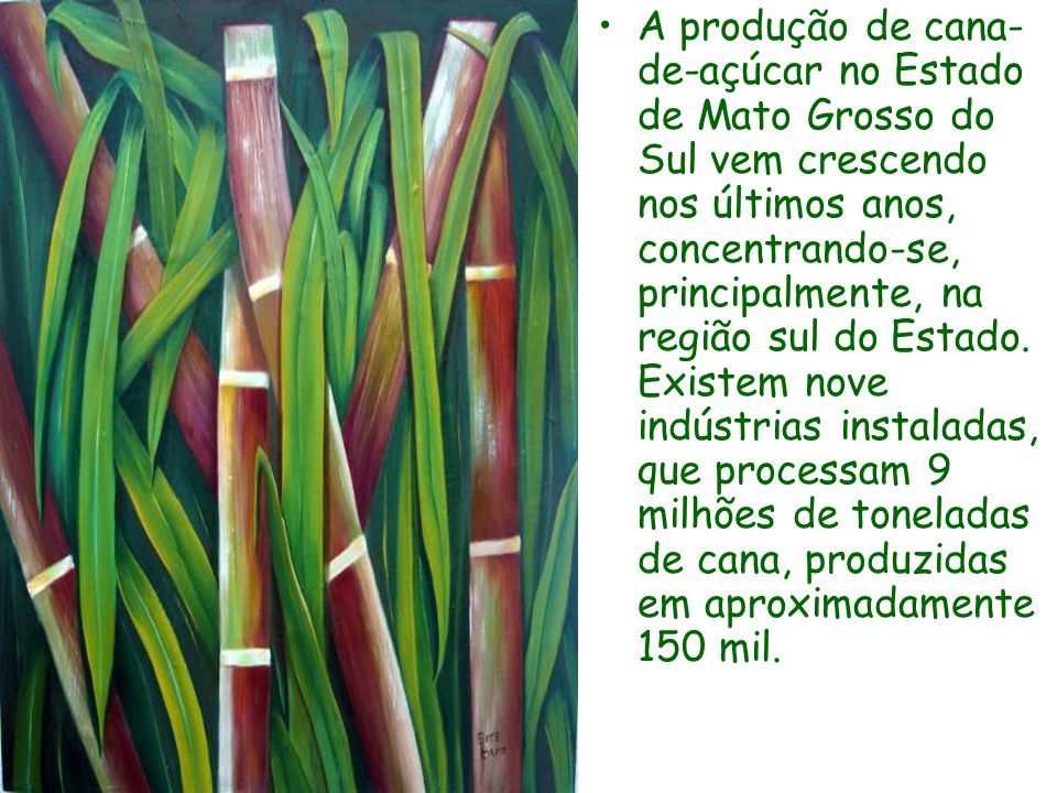 A produção de cana-de-açúcar no Estado de Mato Grosso do Sul vem crescendo nos últimos anos, concentrando-se, principalmente, na região sul do Estado.