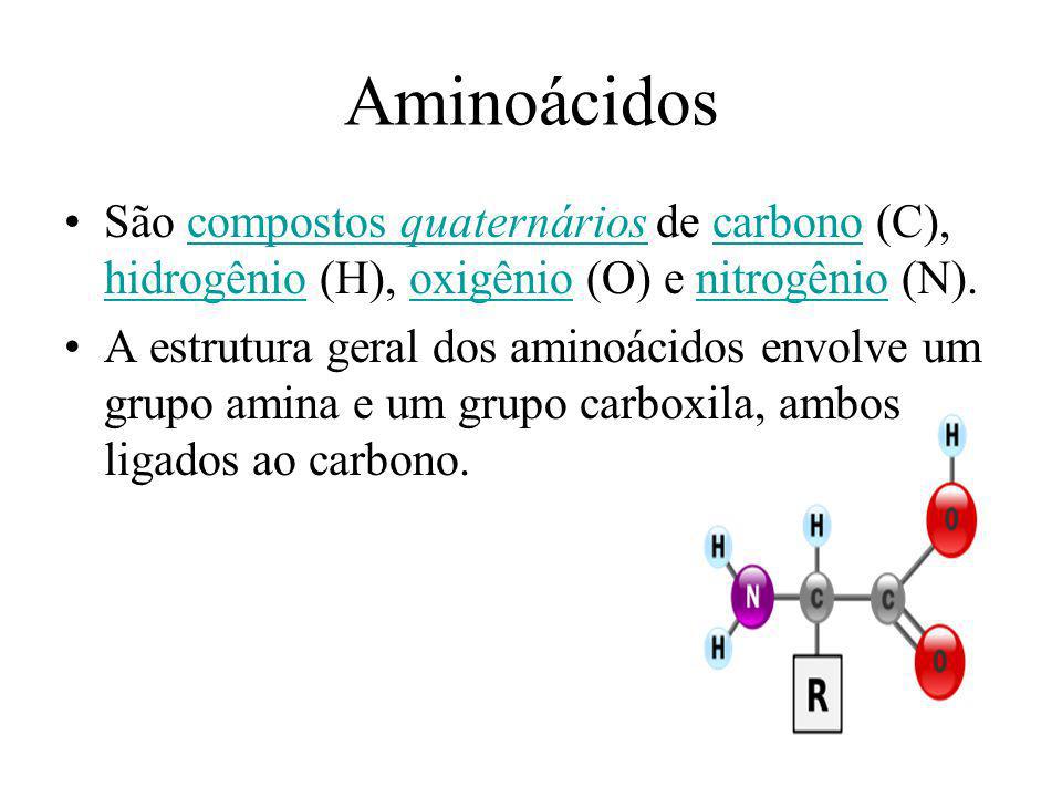 Aminoácidos São compostos quaternários de carbono (C), hidrogênio (H), oxigênio (O) e nitrogênio (N).