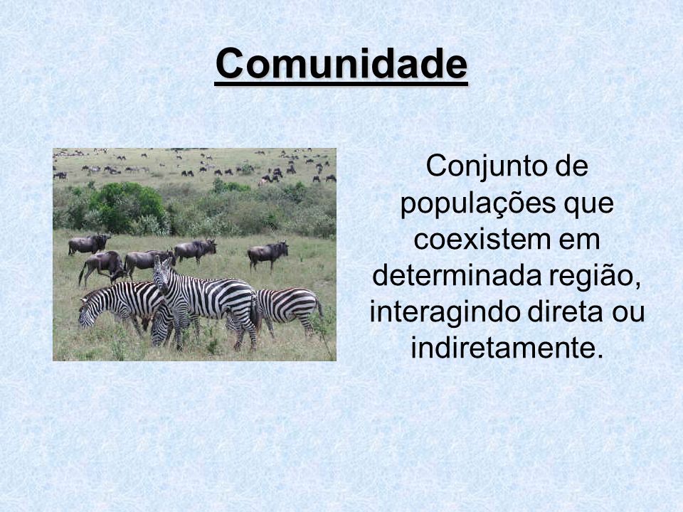 Comunidade Conjunto de populações que coexistem em determinada região, interagindo direta ou indiretamente.