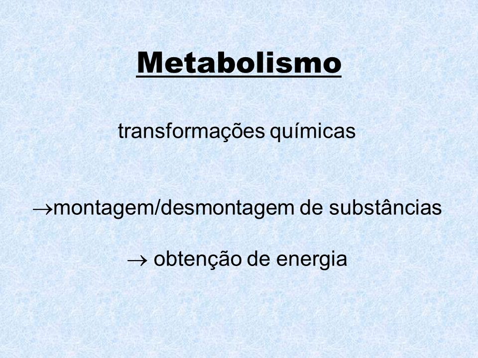 Metabolismo transformações químicas