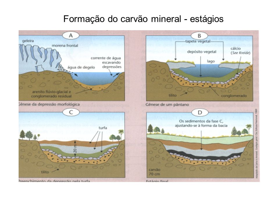 Formação do carvão mineral - estágios