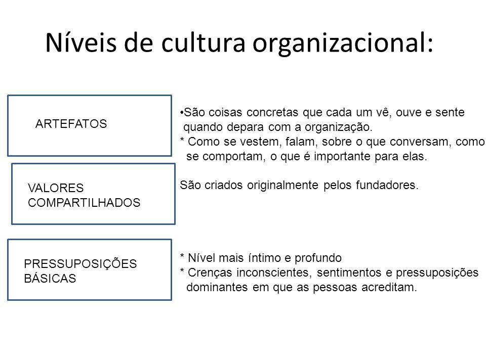 Níveis de cultura organizacional: