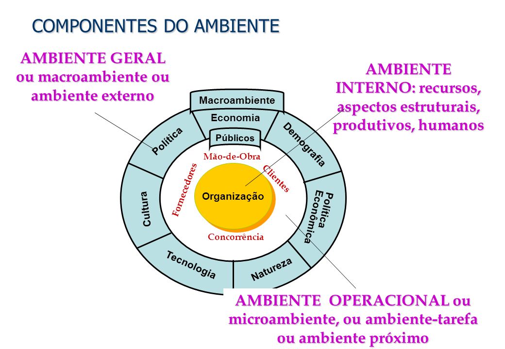 COMPONENTES DO AMBIENTE