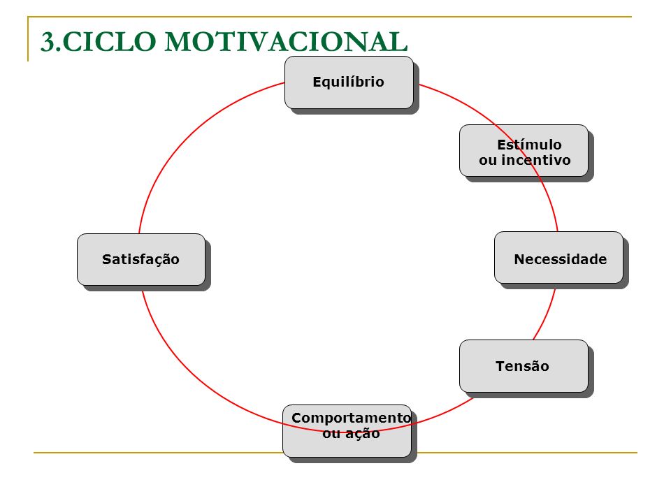 3.CICLO MOTIVACIONAL Equilíbrio Estímulo ou incentivo