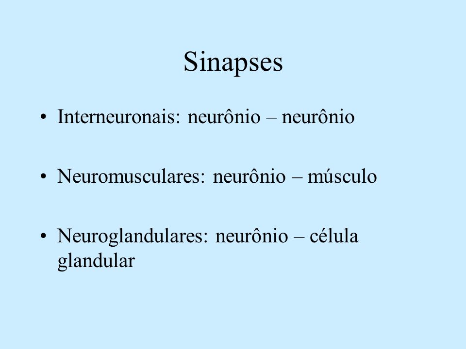 Sinapses Interneuronais: neurônio – neurônio