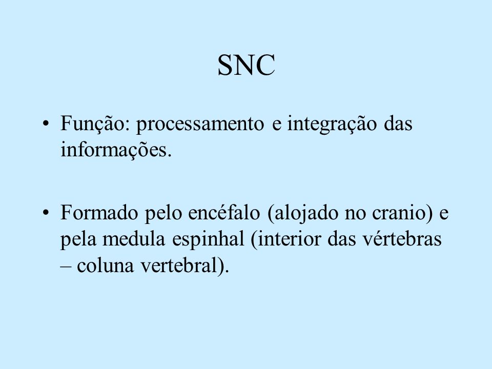 SNC Função: processamento e integração das informações.