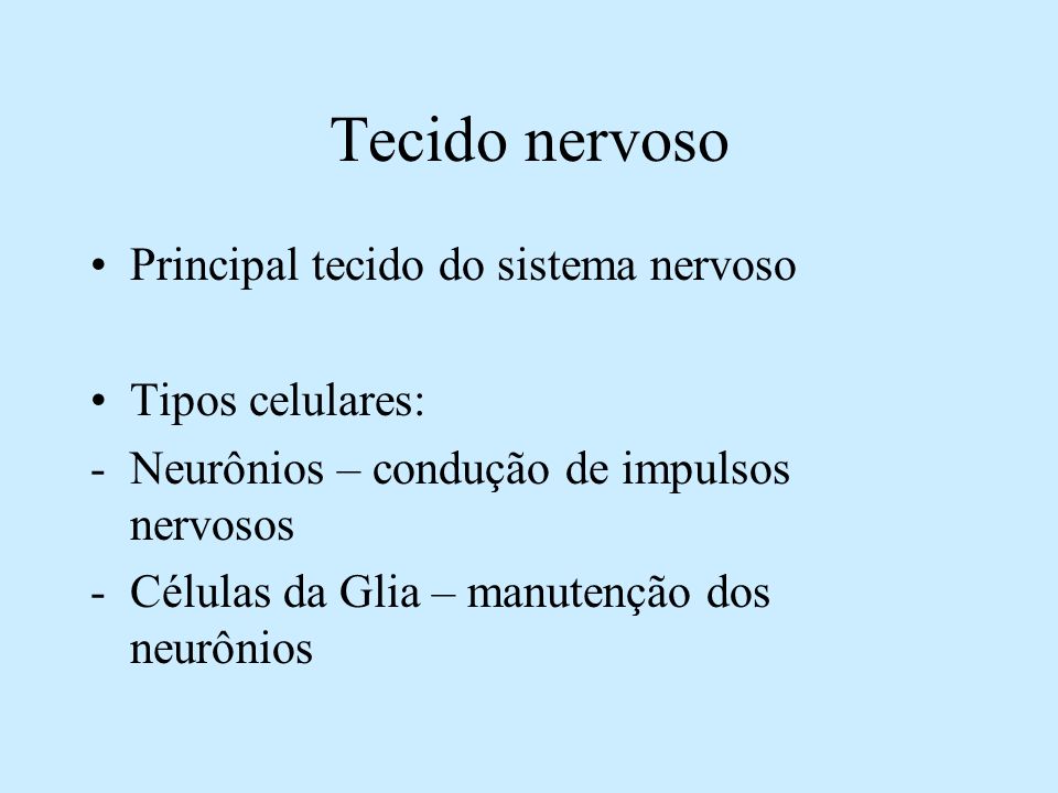 Tecido nervoso Principal tecido do sistema nervoso Tipos celulares: