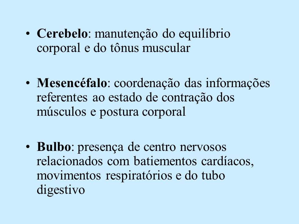 Cerebelo: manutenção do equilíbrio corporal e do tônus muscular