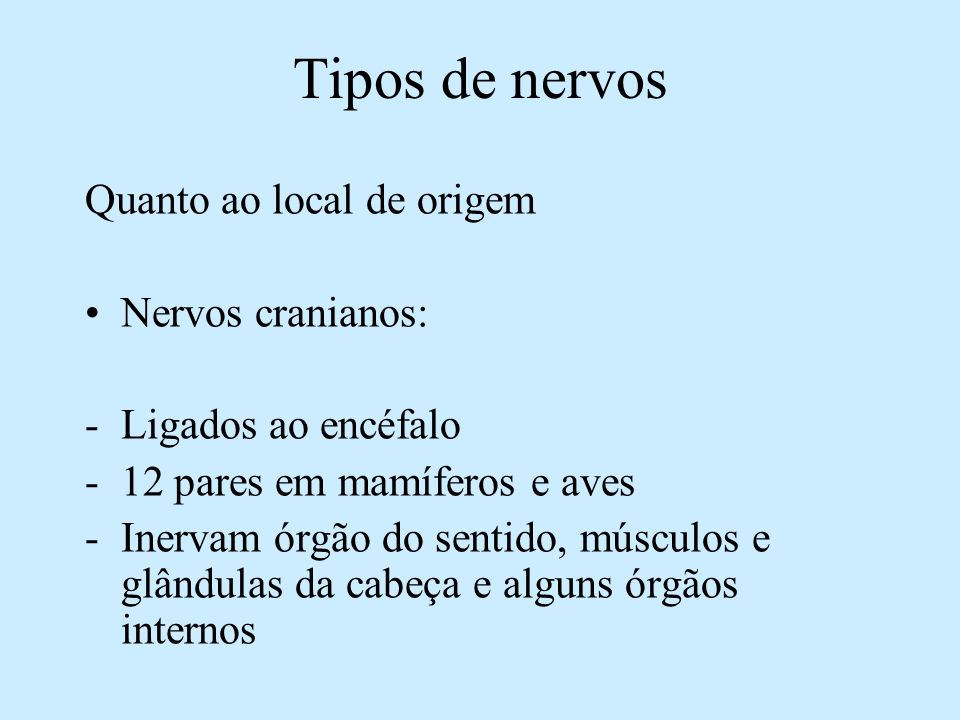 Tipos de nervos Quanto ao local de origem Nervos cranianos:
