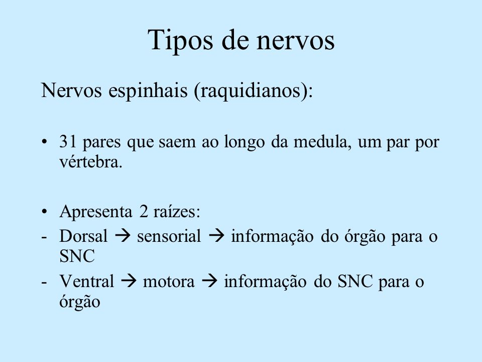 Tipos de nervos Nervos espinhais (raquidianos):
