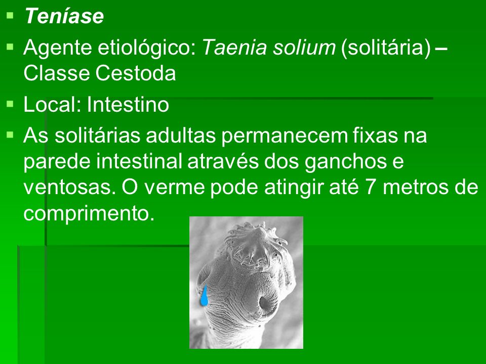 Teníase Agente etiológico: Taenia solium (solitária) – Classe Cestoda. Local: Intestino.