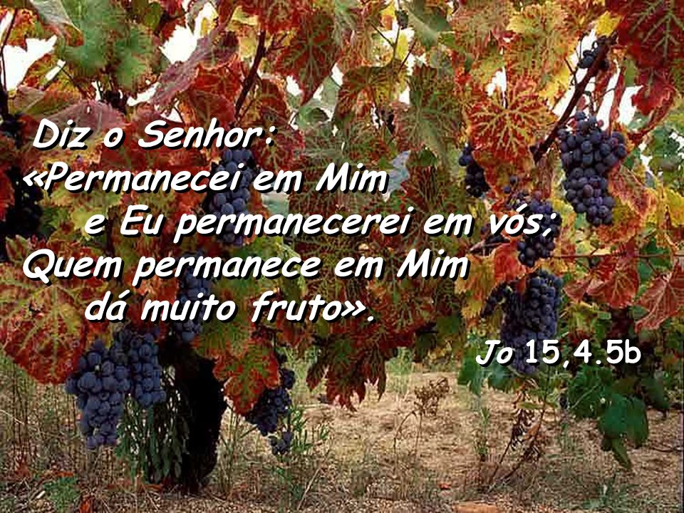 Diz o Senhor: «Permanecei em Mim. e Eu permanecerei em vós; Quem permanece em Mim. dá muito fruto».