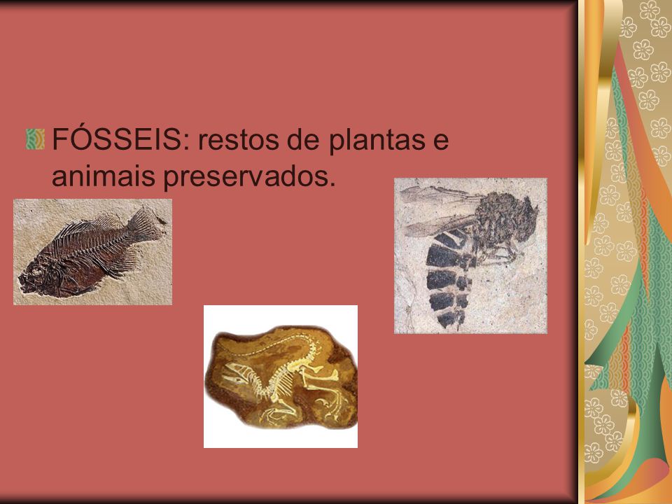 FÓSSEIS: restos de plantas e animais preservados.